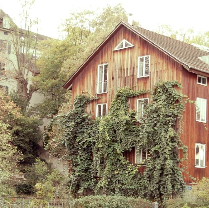Photograph Collection - Charles Poulson Graphic Design #basel #house #switzerland #photography #architecture #vines