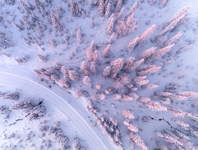 Winter Forest of Finish Lapland From Above by Tiina Törmänen