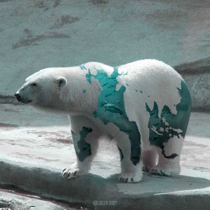 Dreamlike Animals: Whimsical Photo Manipulations by Julien Tabet