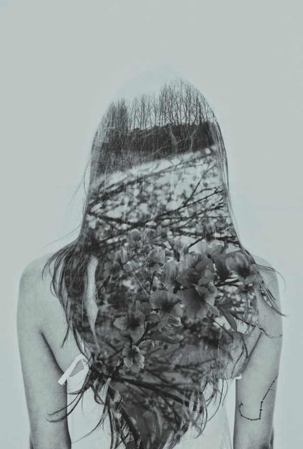 Tais Sirole | PICDIT