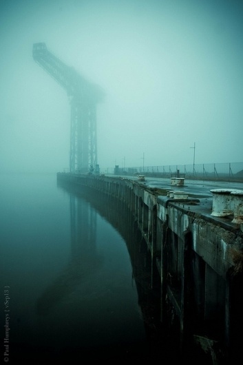 vSep13 #crane #fog #water #atmospheric #photography