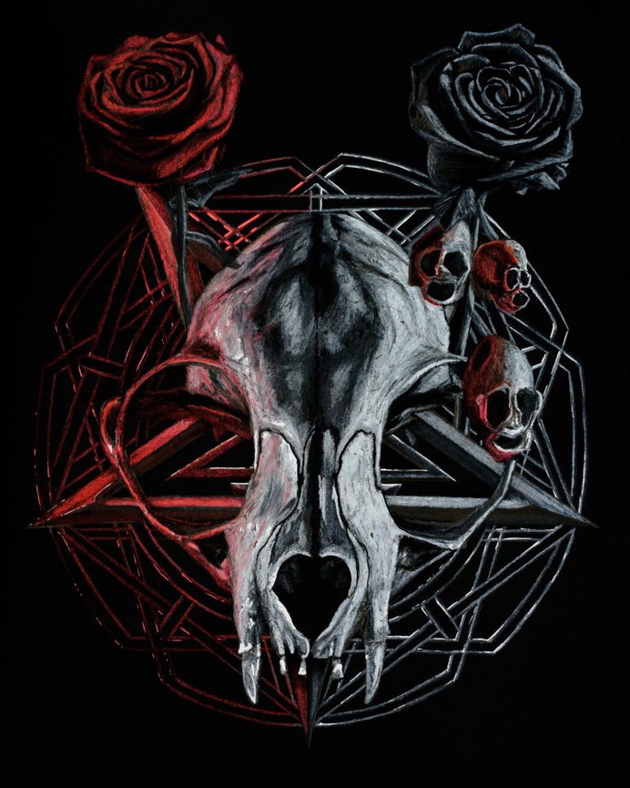 Cat skull by Maxxis237