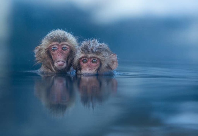 Visually Stunning Photography by Ben Torode
