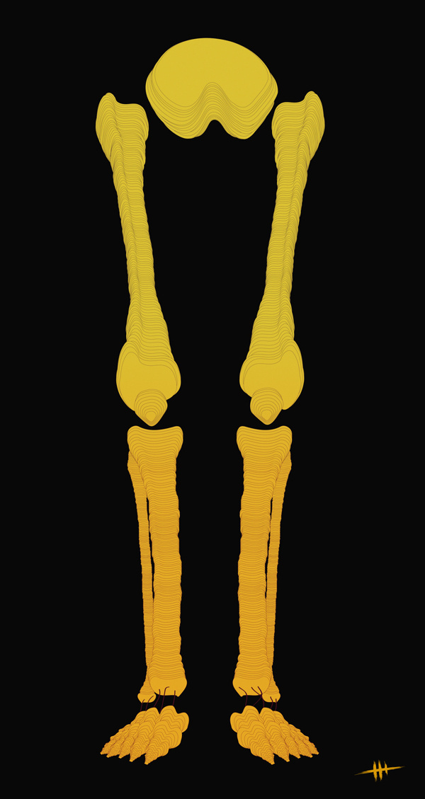 Bones / Print Illustration #yellow #design #illustration #skull #bones