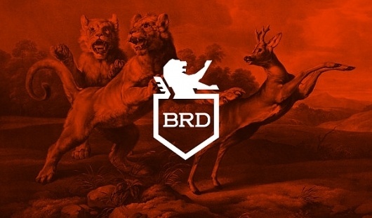 BR-DESIGN on the Behance Network #brd #branding