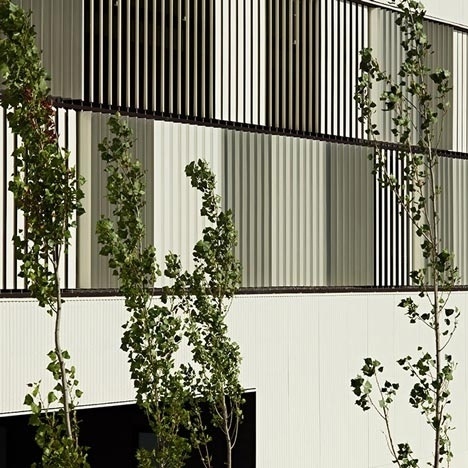 Dezeen » Blog Archive » Castellbisbal School by MMDM Arquitectes #architecture