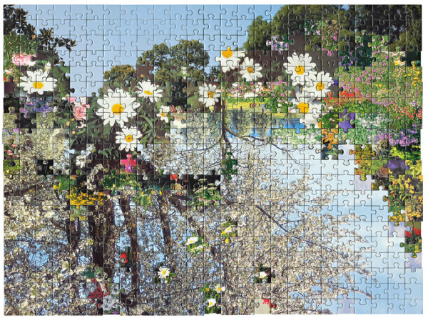 Kent Rogowski | PICDIT