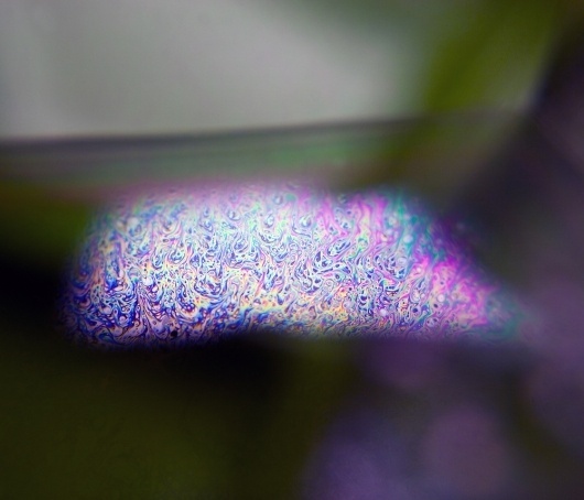 All sizes | Untitled | Flickr - Photo Sharing! #abstract #palmer #photo #color #sarah