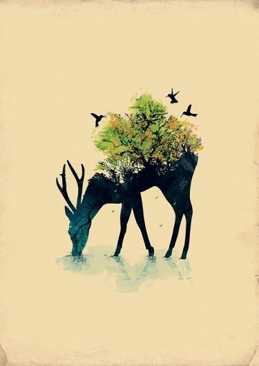 Illustrations by Budi Satria Kwan | Colossal #deer #notan #illustration #nature #forest