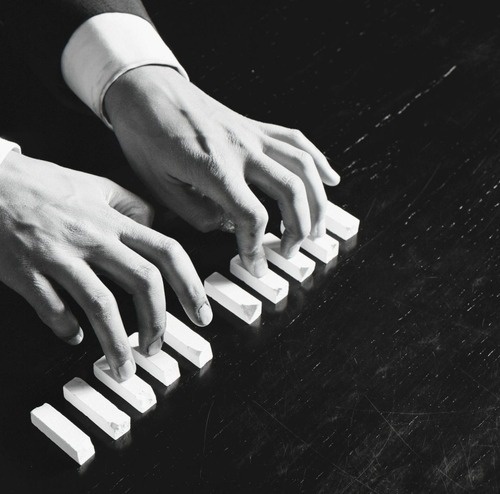 hellopanos blog • ROBIN RHODE Keys, 2008 Black and white pigment... #art