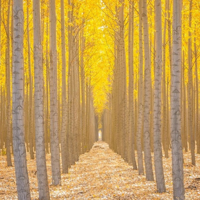 Beautiful American Nature Landscapes by Ross Lipson