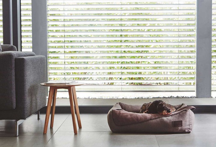 Divo Box Dog Bed