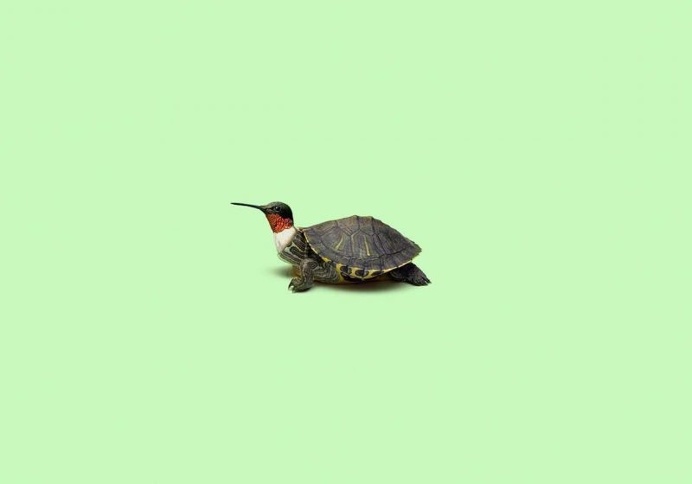 Colorful and Strange Manipulations by Daniel Forero