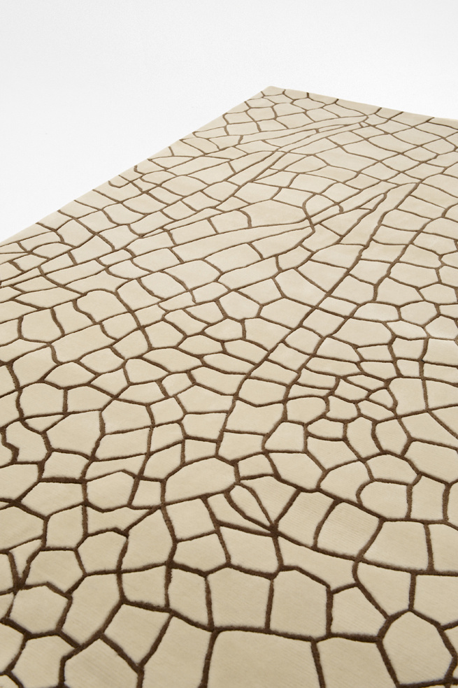 dragonfly04 #rug #carpet