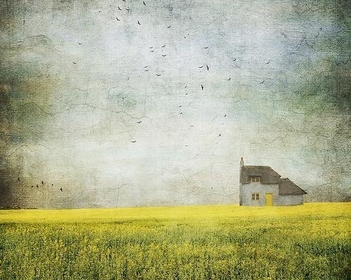 Landscape Photography by Lesley Ann Mohamad | Professional Photography Blog #inspiration #photography #landscape