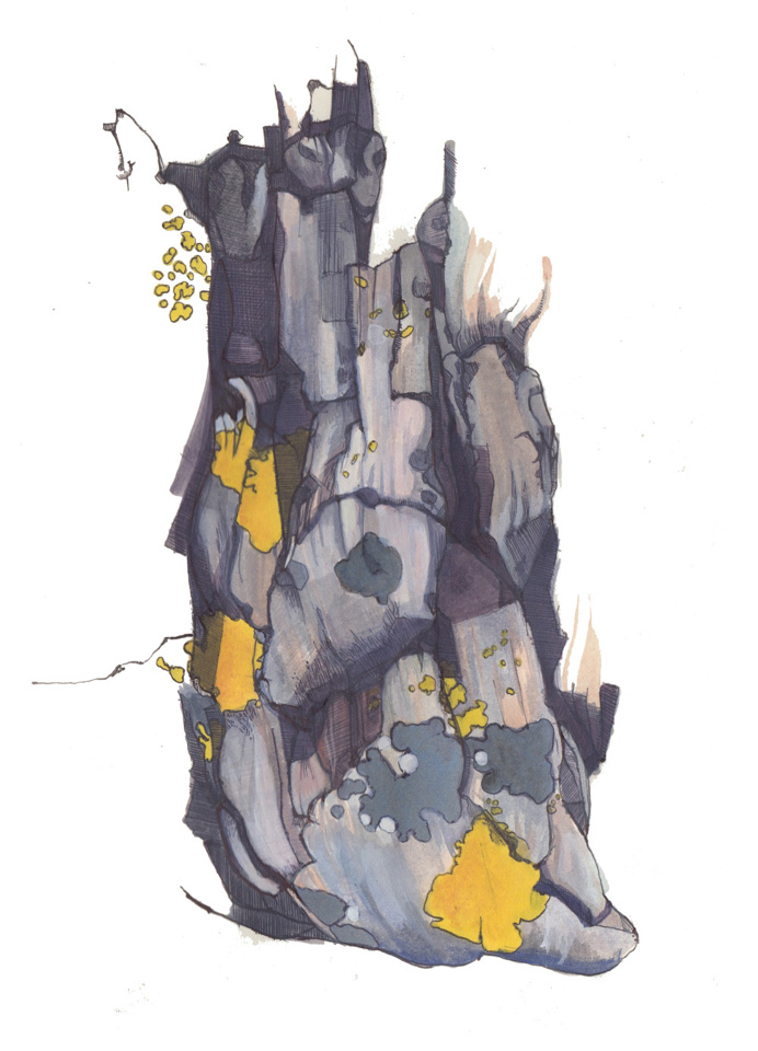 Sophie Glover Rock Illustrations