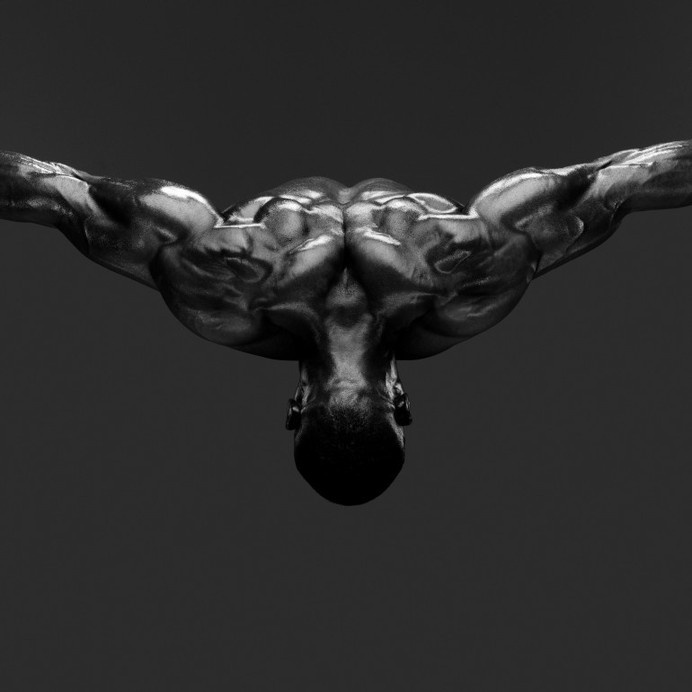 Howard Shatz, Body Power
