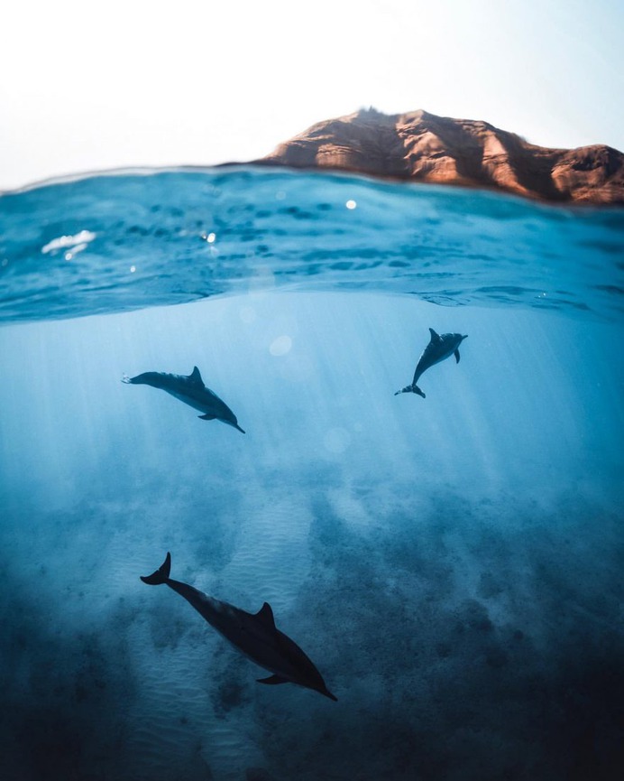 Fantastic Waves, Ocean and Underwater Photography by Nolan Omura