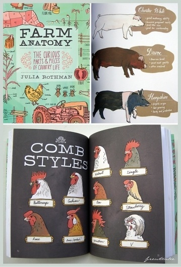 Farm Anatomy « freutcake #illustration #farm
