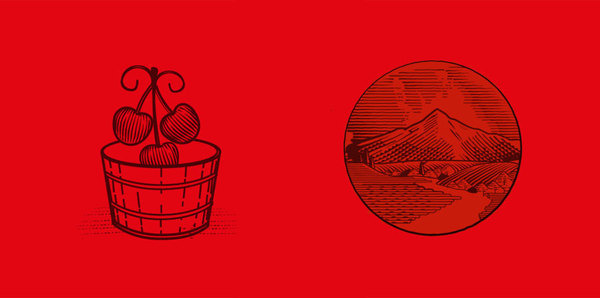 Orion Janeczek www.mr cup.com #illustration