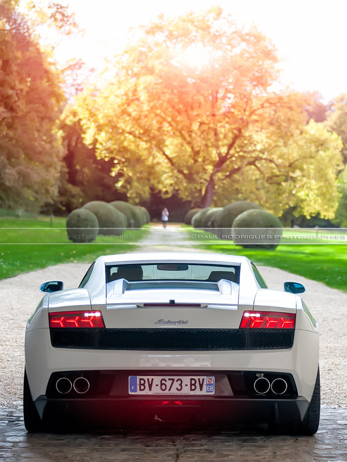 Lamborghini Gallardo