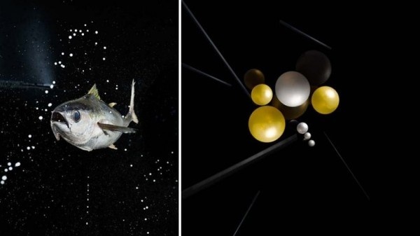 Shimon and Tammar #inspration #photography #art