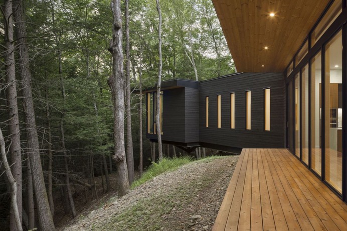 Cat Hill House / Studio MM Architect