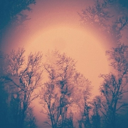 ISO50 Blog – The Blog of Scott Hansen (Tycho / ISO50) » The blog of Scott Hansen (aka ISO50 / Tycho) #photography #vintage #ambient #landscape