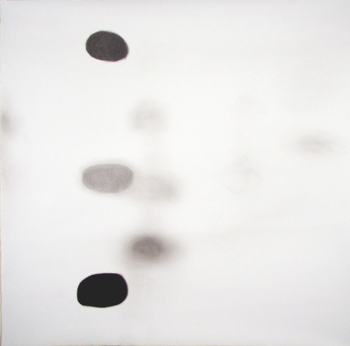 Glimpse 3 Charcoal on paper 42" X 42" 2005