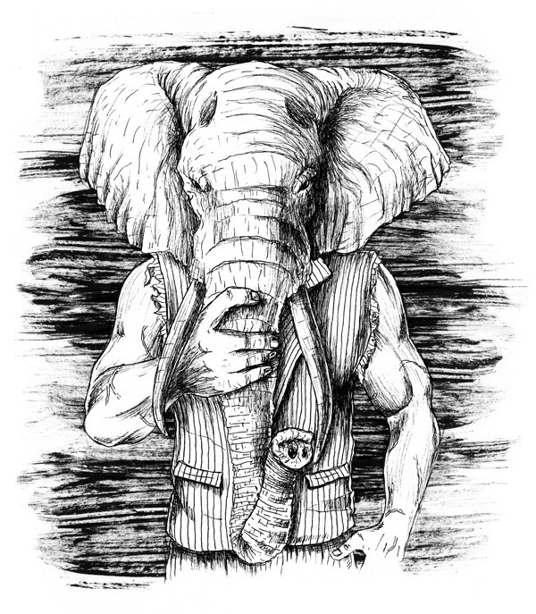 Elephant... #joao #sketch #elephant