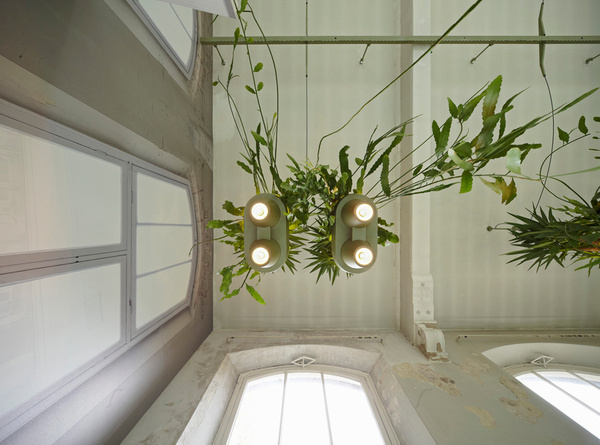 bucketlight by roderick vos brings the rainforest into the home #power