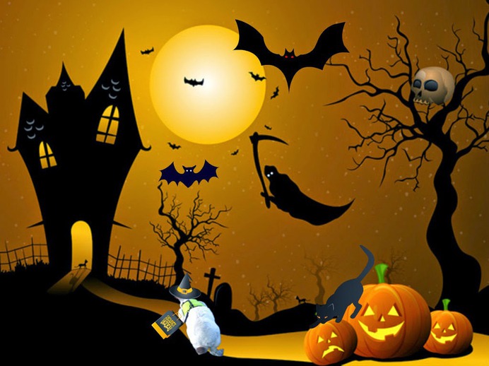 beginner easy halloween paintings & paint by numbers #painting