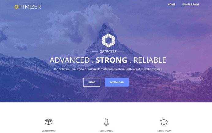 Optimizer