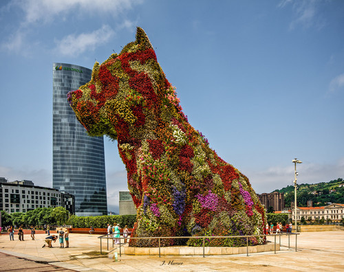 CJWHO ™ (Take me a Photo with the Little Doggy by Joseba...) #sculpture #installation #design #guggenheim #photography #puppy #art #bilbao #flowers #dog