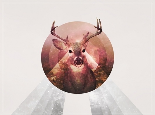 M.S.W.E.D. on the Behance Network #circle #minimal #dear