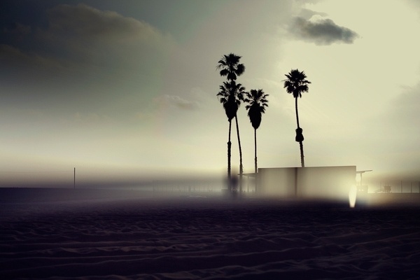 Venice Beach #photo