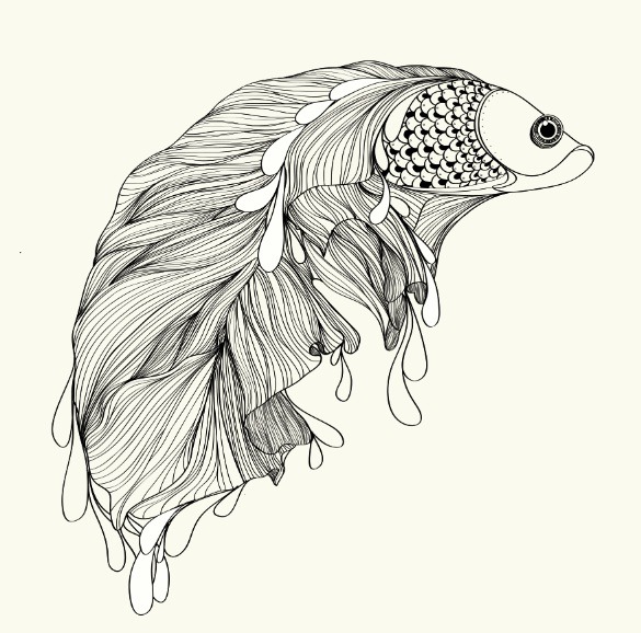 Siamese Fighting Fish on Behance