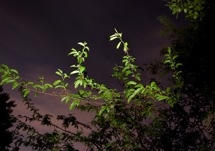 suburbs, night time, new jersey