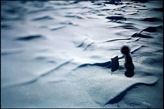 Проснись, #photoillustration