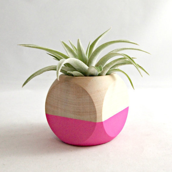 Geometric Air Plant Cube Planter With Tillandsia Hondurensis // Neon Pink Natural Wood Colorblock #industrial design #wood #pink #plant #pla