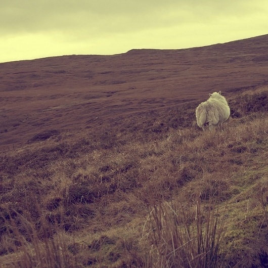 ANYTHING BUT SQUARE on the Behance Network #photography #scenic #field #sky