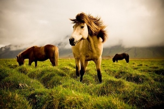 Travel Photography by Martin Sundberg » Creative Photography Blog #inspiration #photography #travel