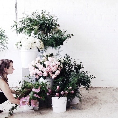 Likes | Tumblr #flower #roses