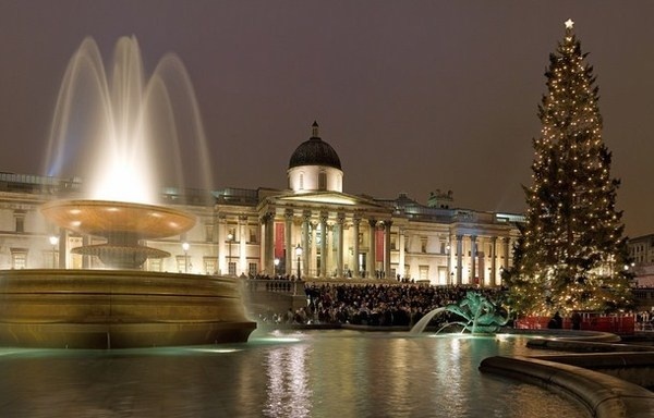 17 Christmas tree on Trafalgar Square in London UK #christmas #trees #art #tree