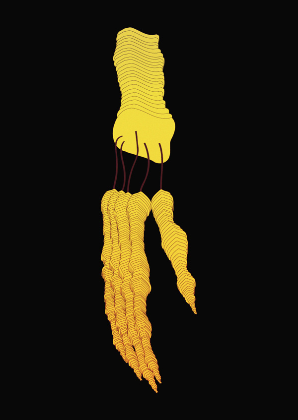Bones / Print Illustration #yellow #design #illustration #skull #bones
