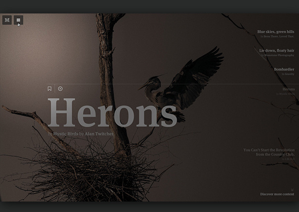 Medium: Collection Concept