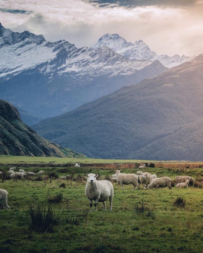Dynamic and Beautiful Mountains of New Zealand by Phillip Gow
