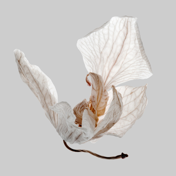 03_LR.jpg #03 #jpg #lr