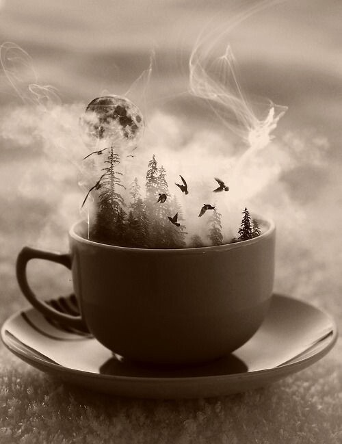 #editorial#photo editor#collage Maker#Cup#birds