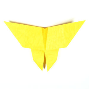 How to make a traditional origami butterfly (http://www.origami-make.org/howto-origami-butterfly.php) #origami #butterfly #origamibutterfly